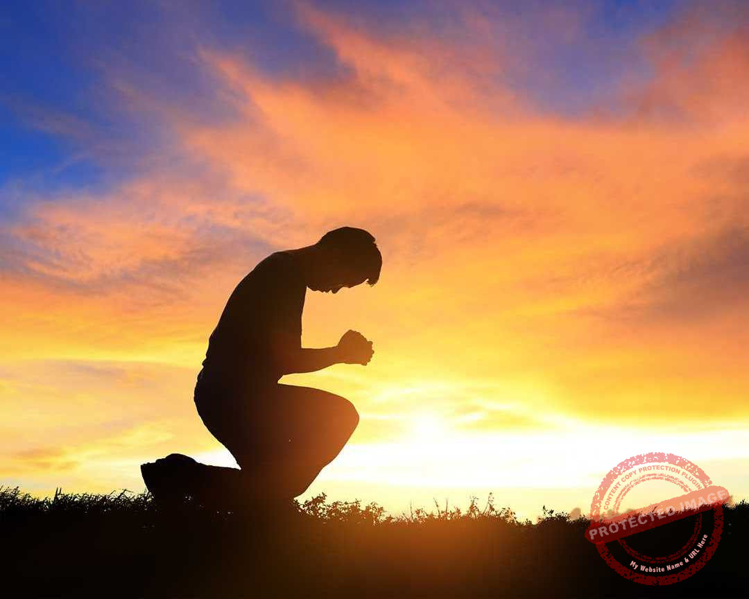 Read more about the article بس يكون عندك قناعات