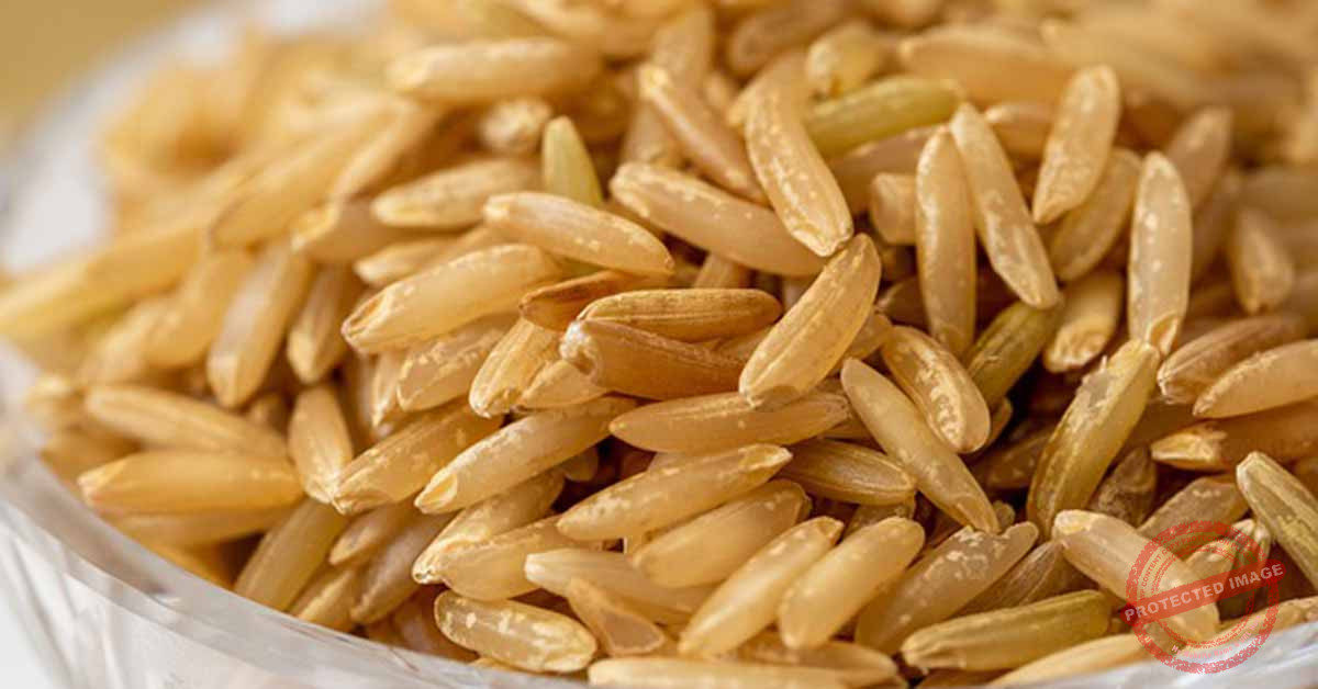 Read more about the article فوائد الأرزّ الأسمر