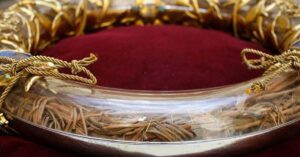 Read more about the article نبتة إكليل الشّوك وتاريخه