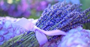 Read more about the article اللّافندر وحُلم رمزي