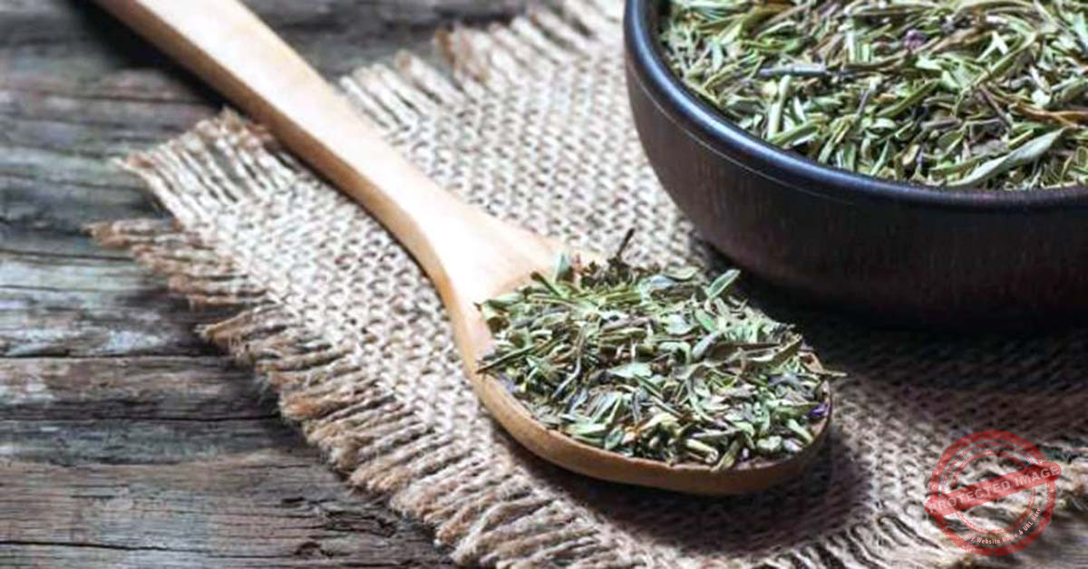 Read more about the article الأوريغانو أو الزعتر البرّي: تجفيفه