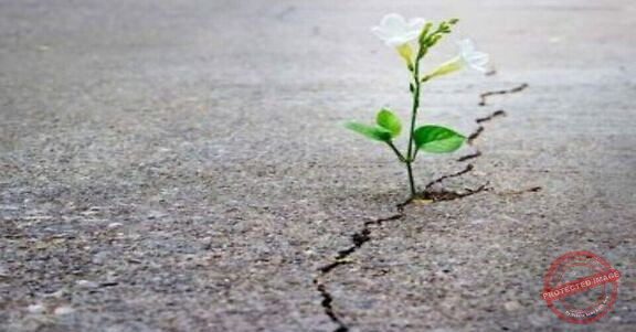 Read more about the article بين النهاية والبداية