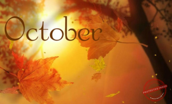 Read more about the article تشرين الأول