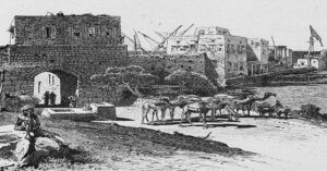 Read more about the article بوابة مدينة صور عام 1882