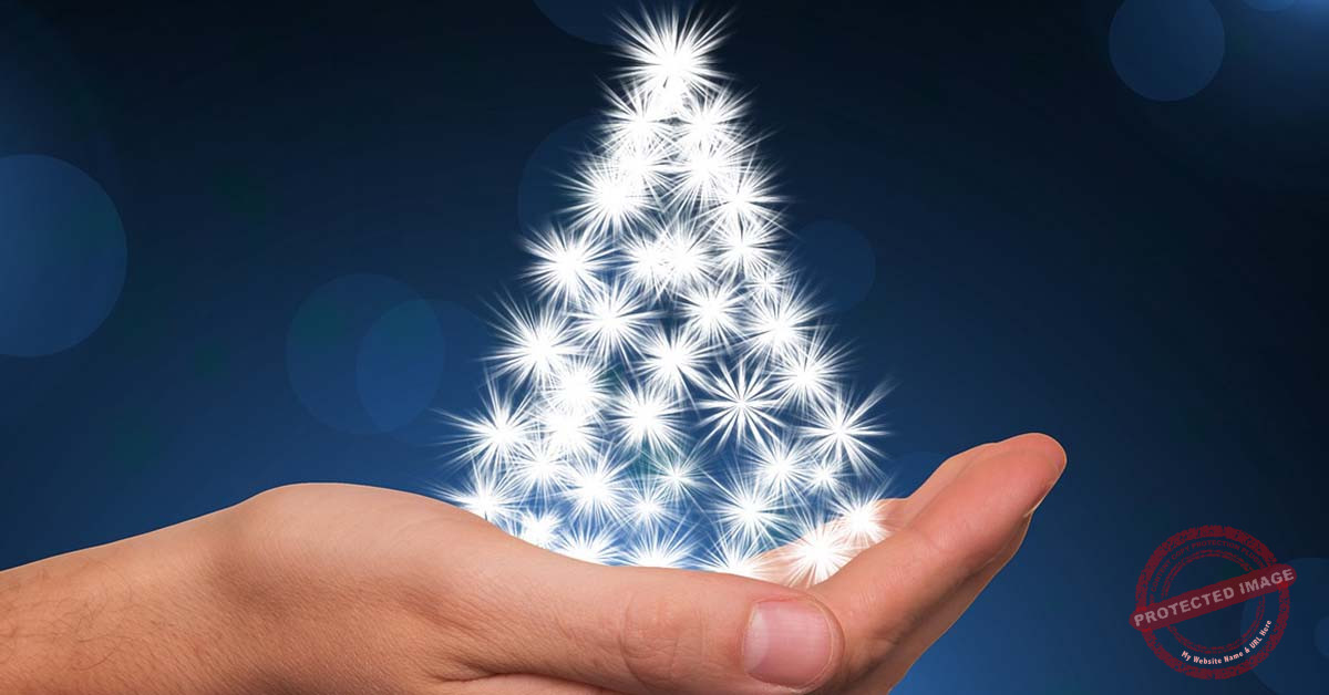 Read more about the article إضاءة شجرة الميلاد في جامعة سيدة اللويزة