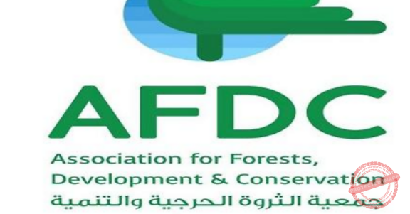 Read more about the article جمعية الثروة الحرجية: تحضير مشاريع تشجير بعد الحرائق