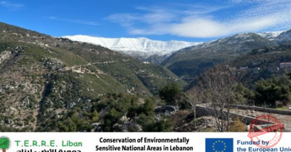 Read more about the article مشروع الحفاظ على المناطق الحساسة بيئيا