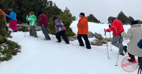 Read more about the article تدريب للأدلاء الجبيليين في القبيات