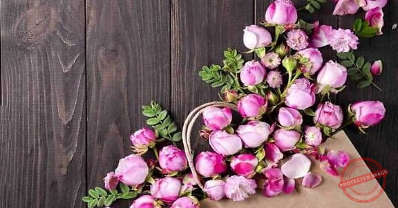 Read more about the article قلب الحبّ هو الحاضر