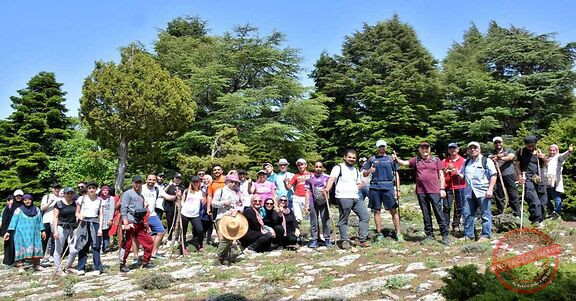 Read more about the article دروب غابات القموعة الخضراء