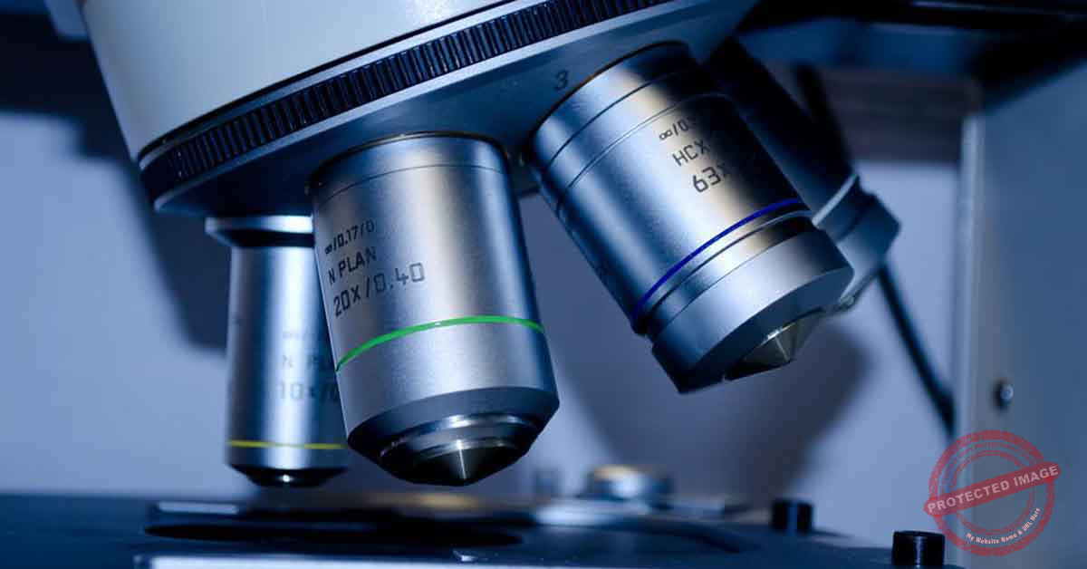Read more about the article مفهوم البحث العلمي