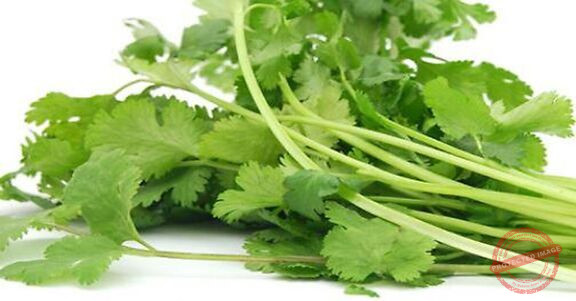 Read more about the article الفوائد العامة للكزبرة الخضراء