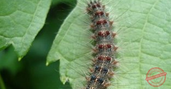 Read more about the article حملة نظافة قرب شاطىء عمشيت