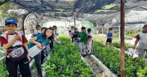 Read more about the article اليوم الأخضر