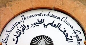 Read more about the article متحف الطيور والفراشات في القبيات