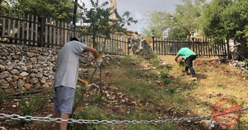 Read more about the article افتتاح حديقة البطاركة – الديمان لصيف 2022