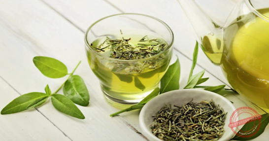 Read more about the article أهمية الشاي الأخضر
