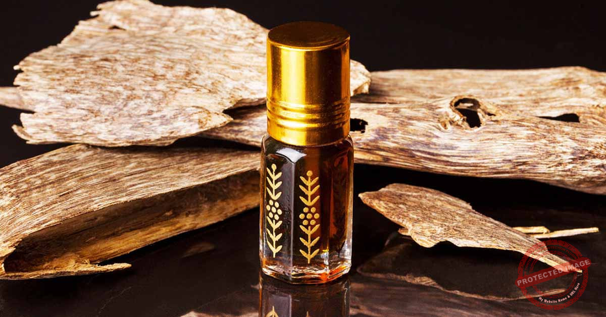 Read more about the article العود أو دهن العود