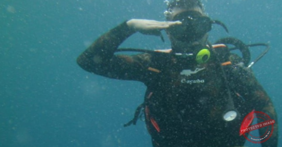 Read more about the article فريق DOLPHIN’S TEAM يكسر الرقم القياسي