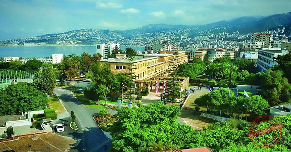 Read more about the article يوم في الهواء الطلق