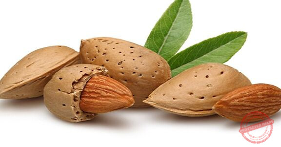 Read more about the article حفنة من اللوز تُحسّن التوتر