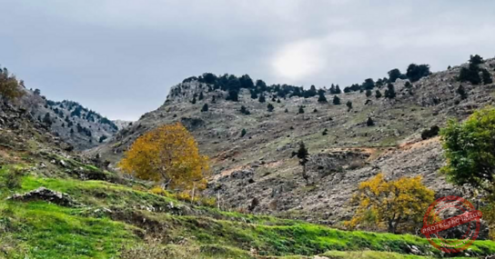 Read more about the article فريق درب الضنية نظم مسيرا جبليا