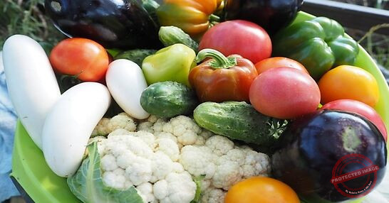 Read more about the article خصائص فريدة لمقاومة السرطان