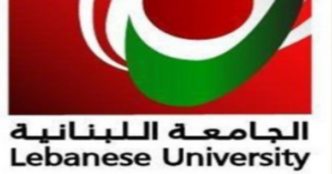 Read more about the article أثر وسائل الإعلام في بناء المعاني حول السياسية والمجتمع