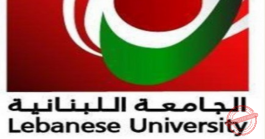 Read more about the article أثر وسائل الإعلام في بناء المعاني حول السياسية والمجتمع