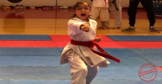 Read more about the article موسم الكاراتيه ينطلق ببطولتي لبنان للصغار والكبار