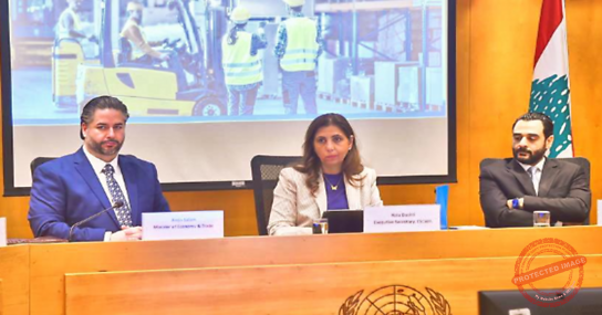 Read more about the article اجتماع بين وزير الاقتصاد والأمينة التنفيذية للاسكوا