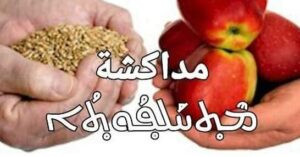 Read more about the article كيفك يا زلمة ؟ بيجاوبك عن مندكش