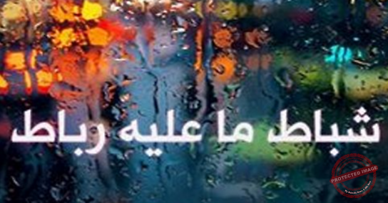 Read more about the article إنه… شباط اللباط