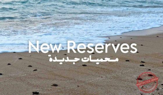 Read more about the article جمعية الأرض: حان الوقت لزيادة نسبة المحميات