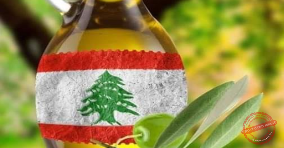 Read more about the article لبنان يحصل على الميدالية الذهبية