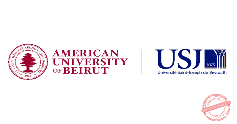 Read more about the article حرية التعبير أساس ميزة لبنان في المنطقة