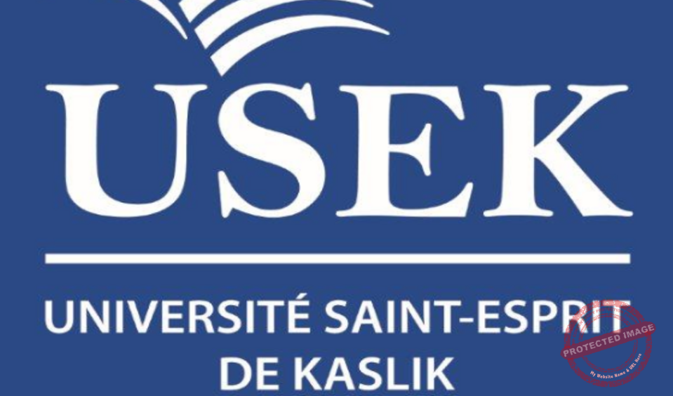 Read more about the article طاولة مستديرة عن مستقبل اللغة الفرنسية