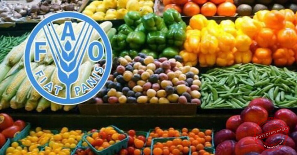 Read more about the article تراجع اسعار المواد الغذائية في العالم