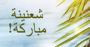 Read more about the article منطقة الشوف احتفلت بأحد الشعانين