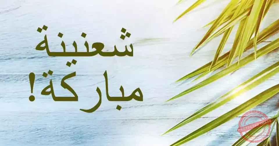 Read more about the article منطقة الشوف احتفلت بأحد الشعانين