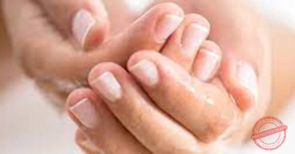 Read more about the article أنواع الإيدين باللهجة اللبنانية