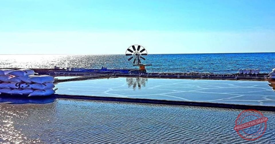 Read more about the article جامعة البلمند نظّمت جولة تاريخية