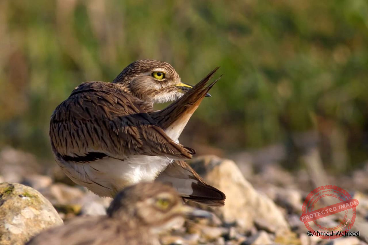 Read more about the article القمة السابعة للتغير المناخي والوقاية من الكوارث