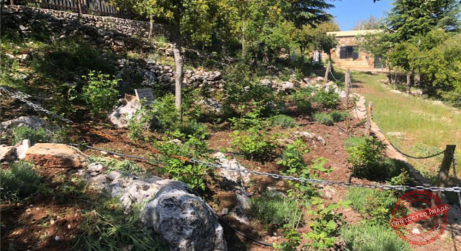 Read more about the article افتتاح حديقة البطاركة المتصلة بوادي قنوبين