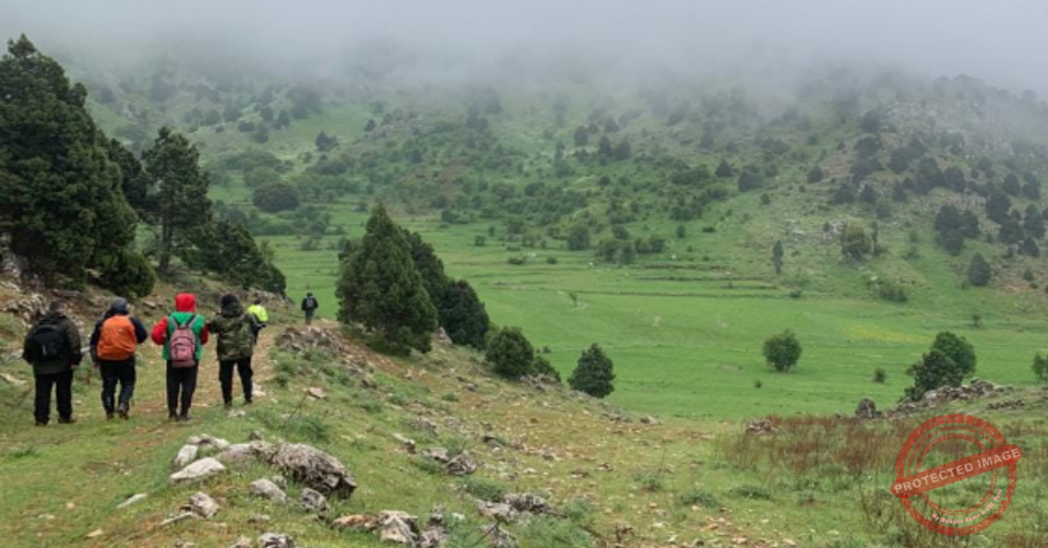 Read more about the article درب الضنية نظم مسيرا جبليا