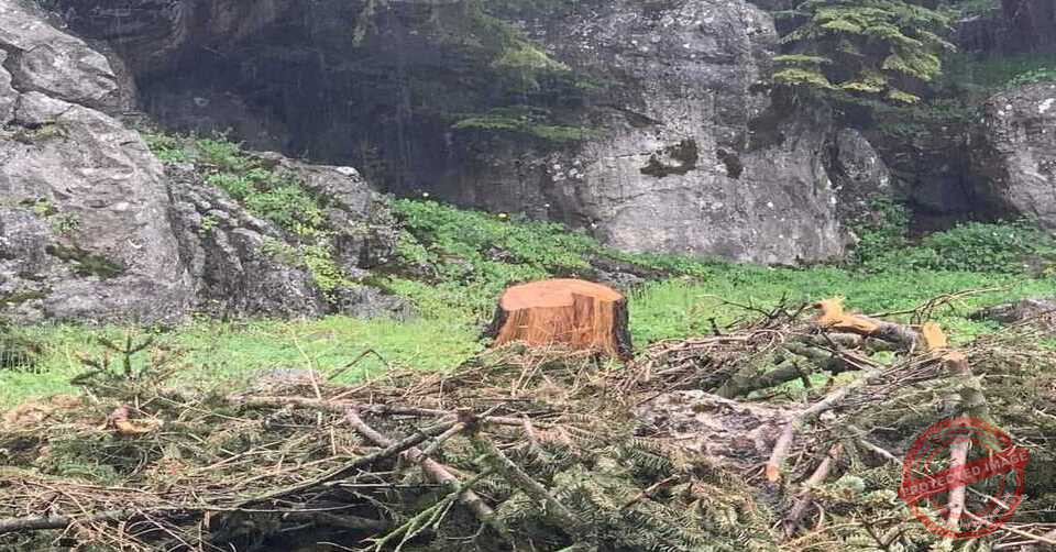 Read more about the article مجزرة في طريق الانكليز