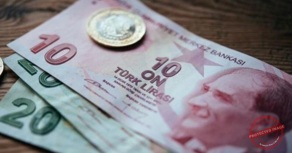 Read more about the article الليرة التركية تهبط لمستوى قياسي