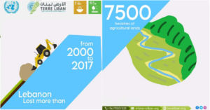 Read more about the article جمعية الأرض: لحماية ما تبقى من سهول زراعية واستثمارها