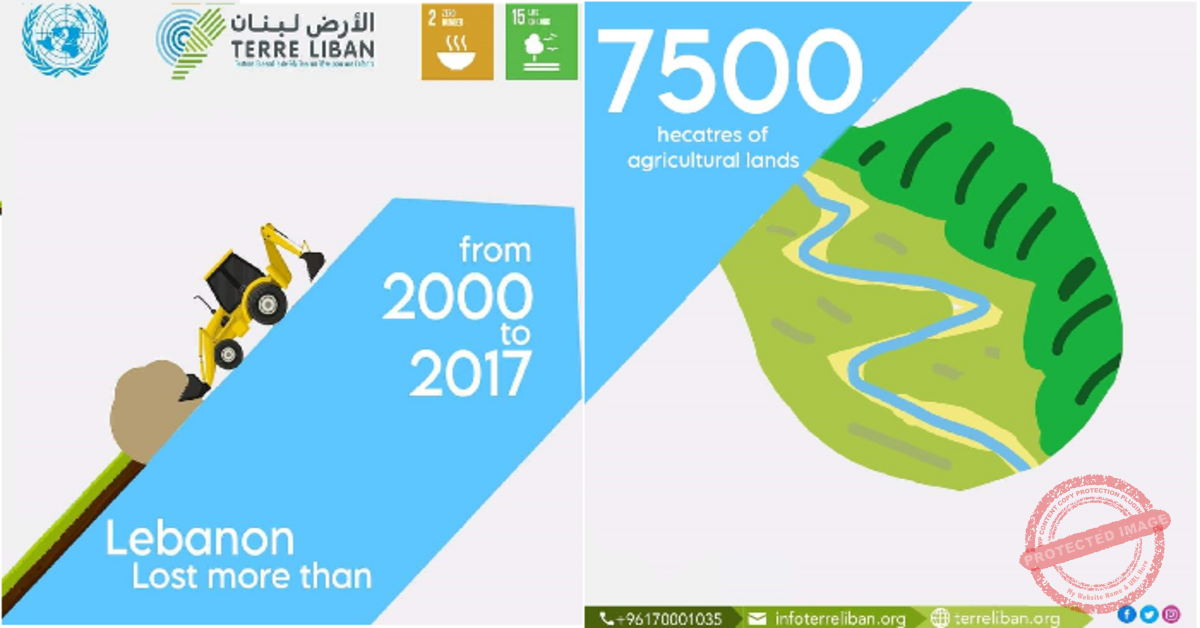 Read more about the article جمعية الأرض: لحماية ما تبقى من سهول زراعية واستثمارها