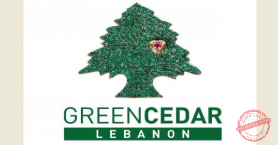 Read more about the article قطع فنية آسرة